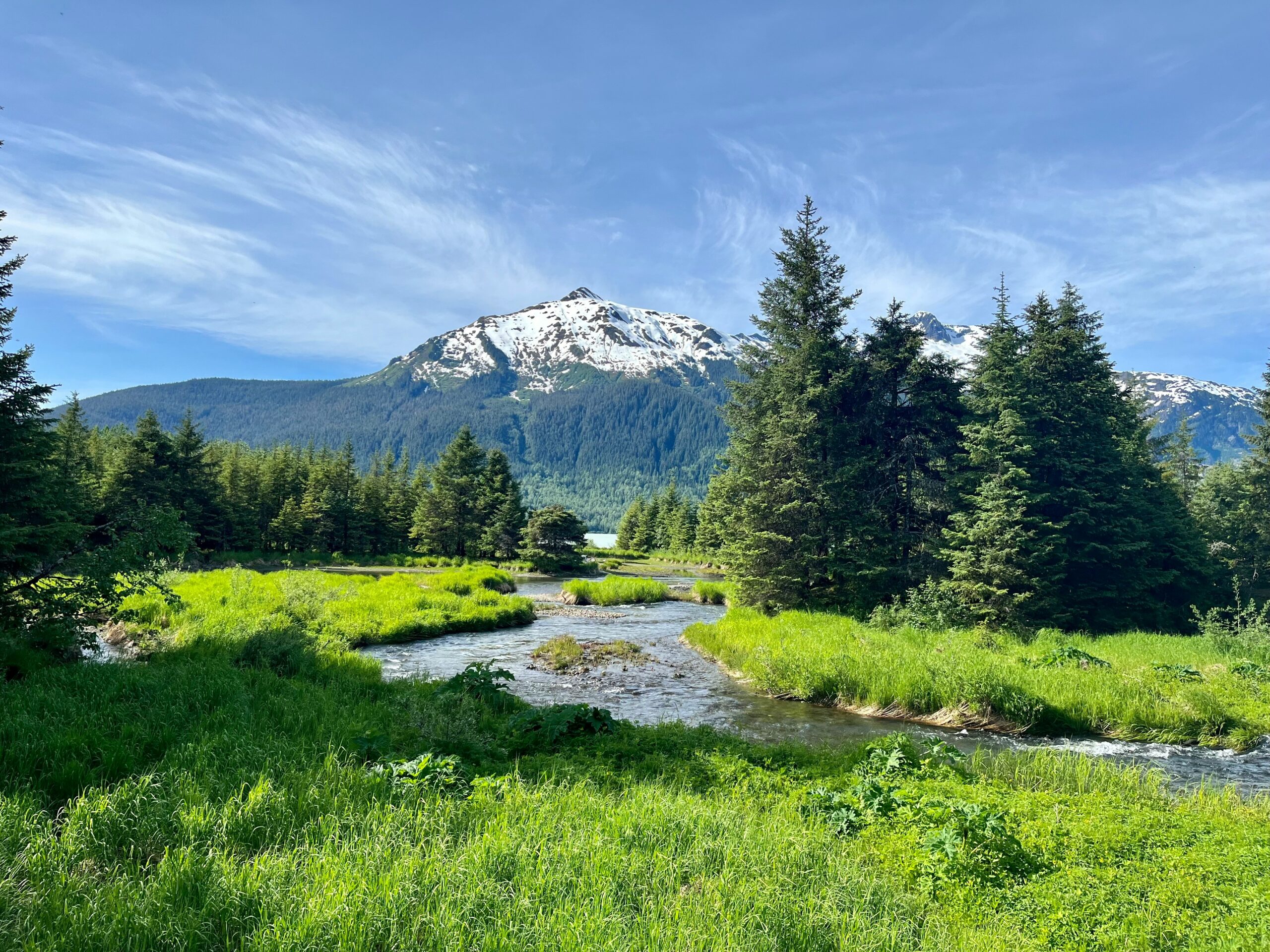 Photo by Maddox Furlong on Unsplash